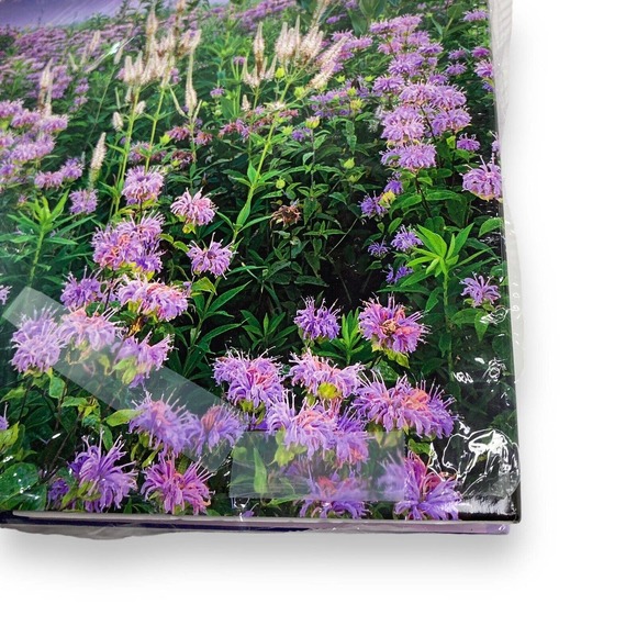 My Journey into the Wilds of Chicago Natural Wonders‎ Mike MacDonald 1st Edition - Picture 11 of 12